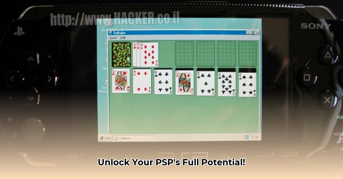 psp-modifications